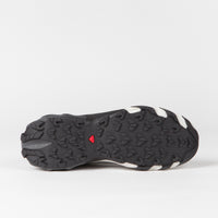Salomon Speedverse PRG Shoes in Silver and Frost Grey / Lunar Rock thumbnail