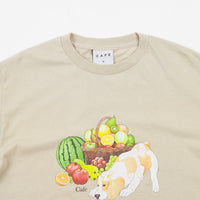 Skateboard Cafe Healthy T-Shirt - Tan thumbnail