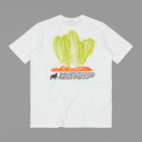 Stussy Desert Bloom T-Shirt - White thumbnail