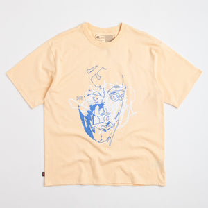 Apricot Sherbet